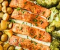 Salmone lessato con striscioline di zucchina, finocchio, ravanelli e lenticchie con salsa al limone